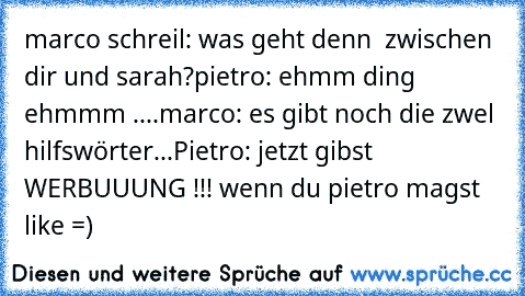 marco schreil: was geht denn  zwischen dir und sarah?
pietro: ehmm ding ehmmm ....
marco: es gibt noch die zwel hilfswörter...
Pietro: jetzt gibst WERBUUUNG !!! 
wenn du pietro magst like =)