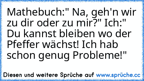 Mathebuch:" Na, geh'n wir zu dir oder zu mir?" Ich:" Du kannst bleiben wo der Pfeffer wächst! Ich hab schon genug Probleme!"