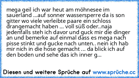 mega geil ich war heut am möhnesee im sauerland ...
auf sonner wassersperre da is son gitter wo viele verleibte paare ein schloss drangemacht haben ... voll süß oder..
naja jedenfalls steh ich davor und guck mir die dinger an und bemerke auf einmal dass es mega nach pisse stinkt und gucke nach unten.. nein ich hab mir nich in die hose gemacht ... da blick ich auf den boden und sehe das ich inne...