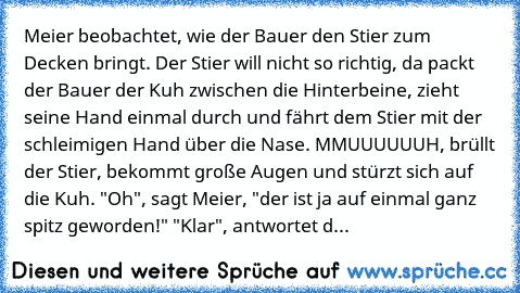 Meier beobachtet, wie der Bauer den Stier zum Decken bringt. Der Stier will nicht so richtig, da packt der Bauer der Kuh zwischen die Hinterbeine, zieht seine Hand einmal durch und fährt dem Stier mit der schleimigen Hand über die Nase. MMUUUUUUH, brüllt der Stier, bekommt große Augen und stürzt sich auf die Kuh. "Oh", sagt Meier, "der ist ja auf einmal ganz spitz geworden!" "Klar", antwortet d...