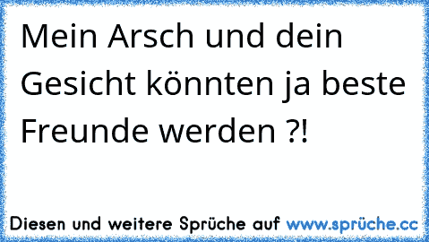 Mein Arsch und dein Gesicht könnten ja beste Freunde werden ?!