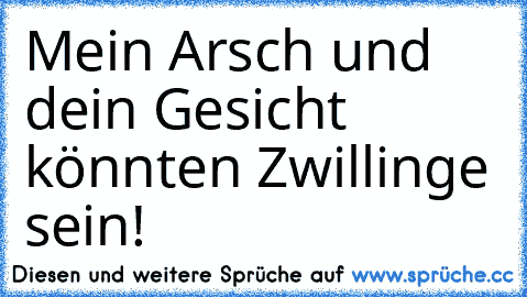 Mein Arsch und dein Gesicht könnten Zwillinge sein!