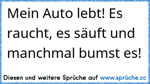 Mein Auto lebt! Es raucht, es säuft und manchmal bumst es!