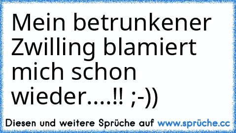 Mein betrunkener Zwilling blamiert mich schon wieder....!! ;-))