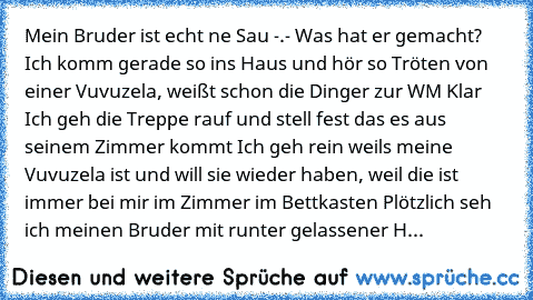 Mein Bruder ist echt ne Sau -.-
 Was hat er gemacht?
 Ich komm gerade so ins Haus und hör so Tröten von einer Vuvuzela, weißt schon die Dinger zur WM
 Klar
 Ich geh die Treppe rauf und stell fest das es aus seinem Zimmer kommt
 Ich geh rein weils meine Vuvuzela ist und will sie wieder haben, weil die ist immer bei mir im Zimmer im Bettkasten
 Plötzlich seh ich meinen Bruder mit runter gelassener H...