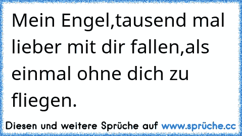 Mein Engel,
tausend mal lieber mit dir fallen,
als einmal ohne dich zu fliegen.