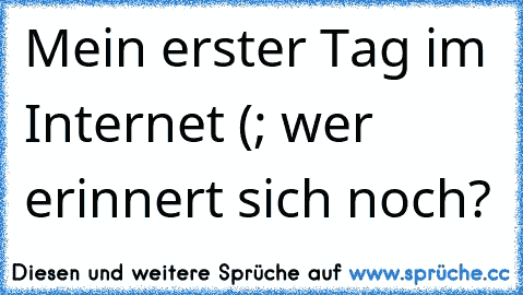 Mein erster Tag im Internet (; wer erinnert sich noch?