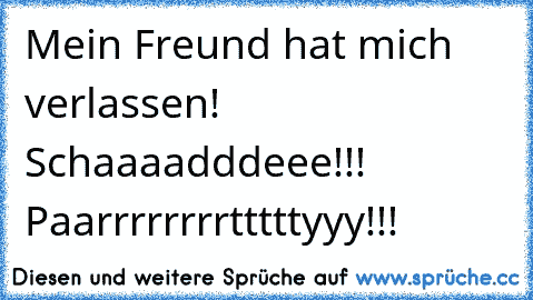 Mein Freund hat mich verlassen! Schaaaadddeee!!! Paarrrrrrrrtttttyyy!!!