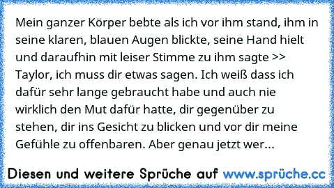 Mein ganzer Körper bebte als ich vor ihm stand, ihm in seine klaren, blauen Augen blickte, seine Hand hielt und daraufhin mit leiser Stimme zu ihm sagte >> …Taylor, ich muss dir etwas sagen. Ich weiß dass ich dafür sehr lange gebraucht habe und auch nie wirklich den Mut dafür hatte, dir gegenüber zu stehen, dir ins Gesicht zu blicken und vor dir meine Gefühle zu offenbaren. Aber genau jetzt werde ...