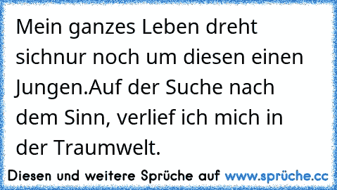 Mein ganzes Leben dreht sich
nur noch um diesen einen Jungen.
Auf der Suche nach dem Sinn, verlief ich mich in der Traumwelt. ♥