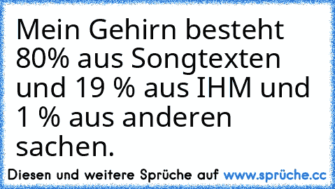 Mein Gehirn besteht 80% aus Songtexten und 19 % aus IHM♥ und 1 % aus anderen sachen´.