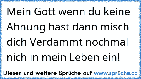 Mein Gott wenn du keine Ahnung hast dann misch dich Verdammt nochmal nich in mein Leben ein!