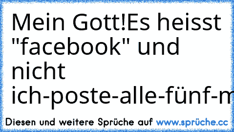 Mein Gott!Es heisst "facebook" und nicht ich-poste-alle-fünf-minuten-etwas-auf-meine-wand-book!