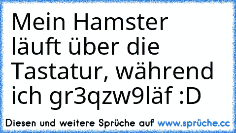 Mein Hamster läuft über die Tastatur, während ich gr3qzw9läf :D