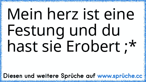 Mein herz ist eine Festung und du hast sie Erobert ♥;*