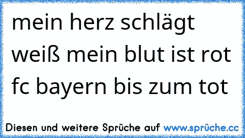 mein herz schlägt weiß mein blut ist rot fc bayern bis zum tot