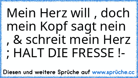 Mein Herz will , doch mein Kopf sagt nein , & schreit mein Herz ; HALT DIE FRESSE !
-♥