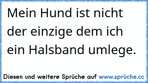 Mein Hund ist nicht der einzige dem ich ein Halsband umlege.