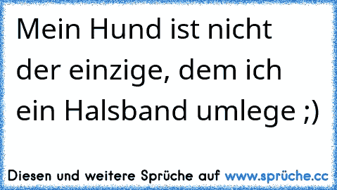 Mein Hund ist nicht der einzige, dem ich ein Halsband umlege ;)