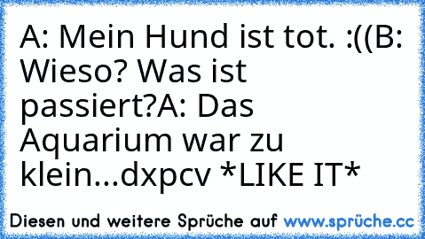 A: Mein Hund ist tot. :((
B: Wieso? Was ist passiert?
A: Das Aquarium war zu klein...
dxpcv *LIKE IT*