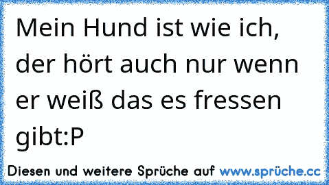 Mein Hund ist wie ich, der hört auch nur wenn er weiß das es fressen gibt
:P