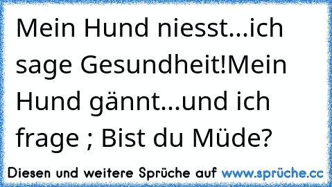 Mein Hund niesst...ich sage Gesundheit!
Mein Hund gännt...und ich frage ; Bist du Müde?