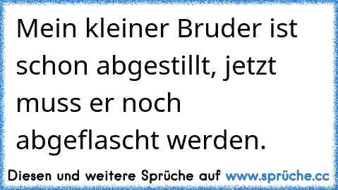 Mein kleiner Bruder ist schon abgestillt, jetzt muss er noch abgeflascht werden.