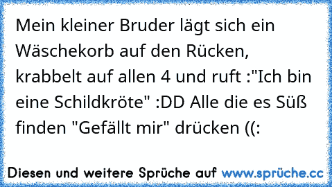 Mein kleiner Bruder lägt sich ein Wäschekorb auf den Rücken, krabbelt auf allen 4 und ruft :"Ich bin eine Schildkröte" :DD 
Alle die es Süß finden "Gefällt mir" drücken ((: