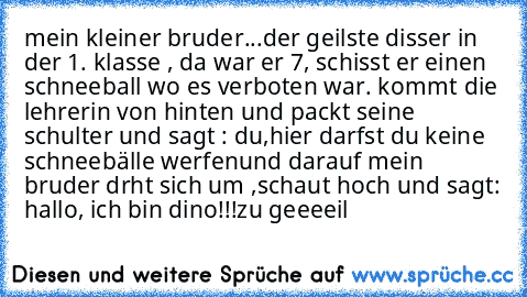 mein kleiner bruder...der geilste disser 
in der 1. klasse , da war er 7, schisst er einen schneeball wo es verboten war. kommt die lehrerin von hinten und packt seine schulter und sagt : du,hier darfst du keine schneebälle werfen
und darauf mein bruder drht sich um ,schaut hoch und sagt: hallo, ich bin dino!!!
zu geeeeil