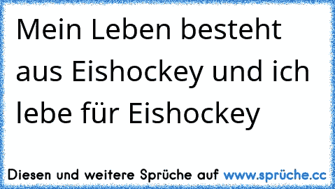 Mein Leben besteht aus Eishockey und ich lebe für Eishockey