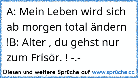 A: Mein Leben wird sich ab morgen total ändern !
B: Alter , du gehst nur zum Frisör. ! -.-