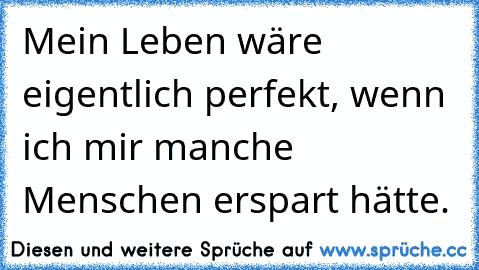 Mein Leben wäre eigentlich perfekt, wenn ich mir manche Menschen erspart hätte.