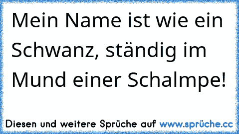 Mein Name ist wie ein Schwanz, ständig im Mund einer Schalmpe!