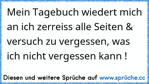 Mein Tagebuch wiedert mich an ich zerreiss alle Seiten & versuch zu vergessen, was ich nicht vergessen kann !