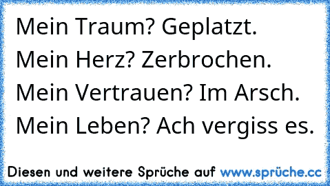 Mein Traum? Geplatzt. Mein Herz? Zerbrochen. Mein Vertrauen? Im Arsch. Mein Leben? Ach vergiss es.