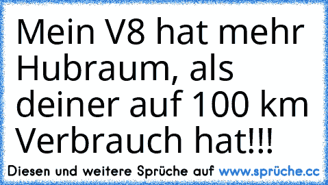 Mein V8 hat mehr Hubraum, als deiner auf 100 km Verbrauch hat!!!