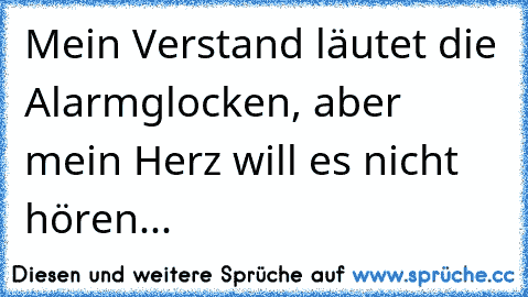 Mein Verstand läutet die Alarmglocken, aber mein Herz will es nicht hören...