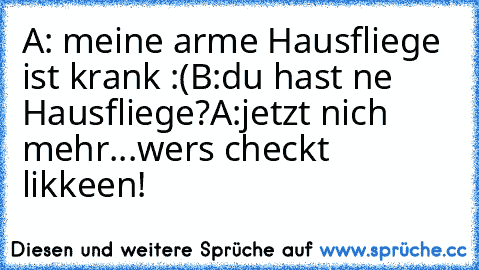 A: meine arme Hausfliege ist krank :(
B:du hast ne Hausfliege?
A:jetzt nich mehr...
wers checkt likkeen!