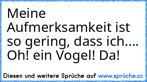 Meine Aufmerksamkeit ist so gering, dass ich.... Oh! ein Vogel! Da!