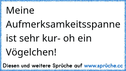 Meine Aufmerksamkeitsspanne ist sehr kur- oh ein Vögelchen!