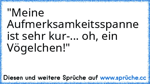 "Meine Aufmerksamkeitsspanne ist sehr kur-... oh, ein Vögelchen!"