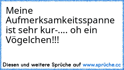 Meine Aufmerksamkeitsspanne ist sehr kur-.... oh ein Vögelchen!!!