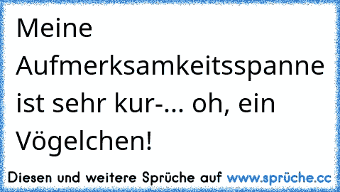 Meine Aufmerksamkeitsspanne ist sehr kur-... oh, ein Vögelchen!