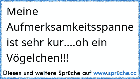 Meine Aufmerksamkeitsspanne ist sehr kur....oh ein Vögelchen!!!