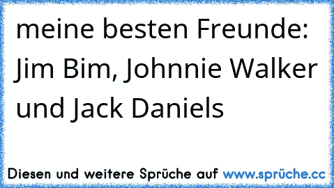 meine besten Freunde: Jim Bim, Johnnie Walker und Jack Daniels