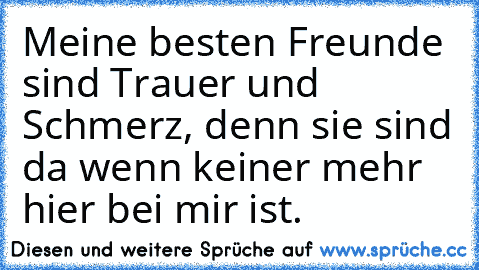 Meine besten Freunde sind Trauer und Schmerz, denn sie sind da wenn keiner mehr hier bei mir ist.