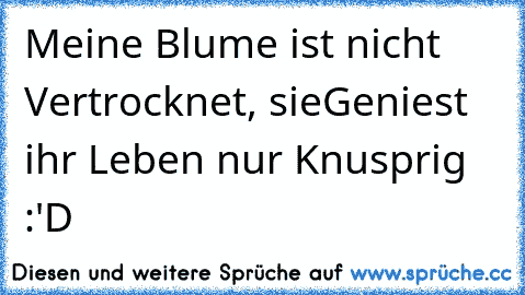 Meine Blume ist nicht Vertrocknet, sie
Geniest ihr Leben nur Knusprig :'D