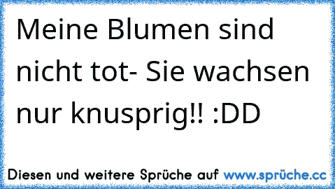 Meine Blumen sind nicht tot- Sie wachsen nur knusprig!! :DD