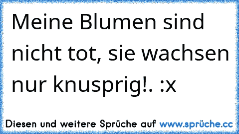 Meine Blumen sind nicht tot, sie wachsen nur knusprig!. :x