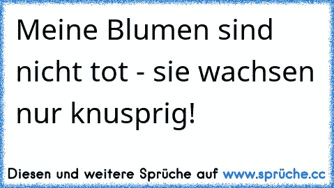 Meine Blumen sind nicht tot - sie wachsen nur knusprig!